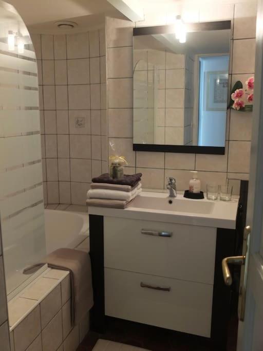 Charming Flat In Historical Centre Apartment Dijon Exterior photo